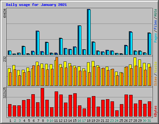 Daily usage for January 2021