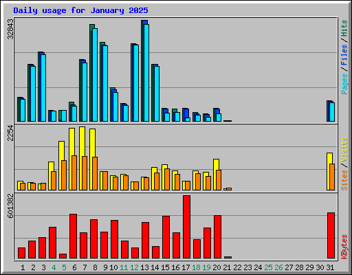 Daily usage for January 2025