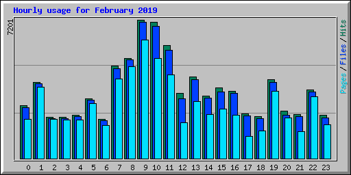 Hourly usage for February 2019