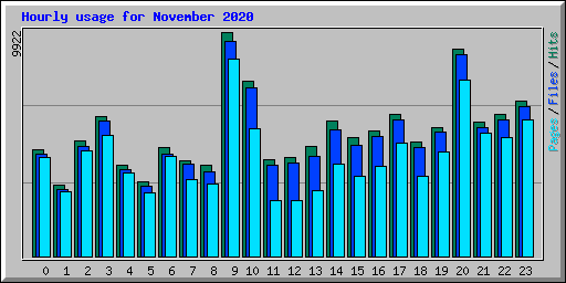 Hourly usage for November 2020