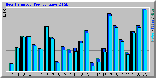 Hourly usage for January 2021