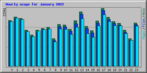 Hourly usage for January 2022