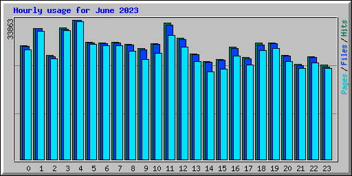 Hourly usage for June 2023