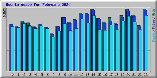 Hourly usage for February 2024