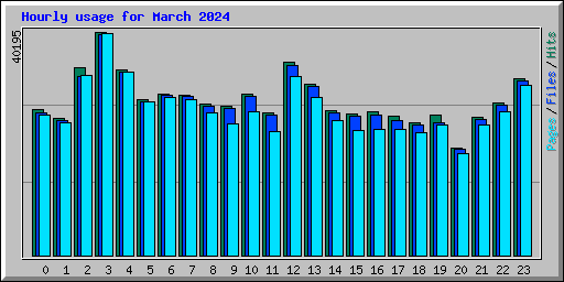 Hourly usage for March 2024