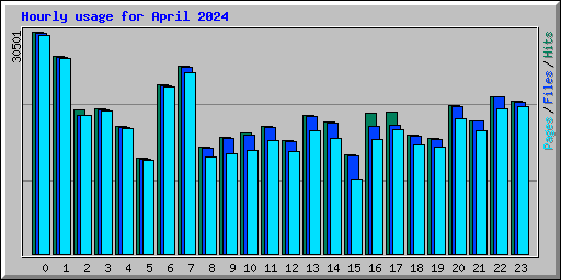 Hourly usage for April 2024