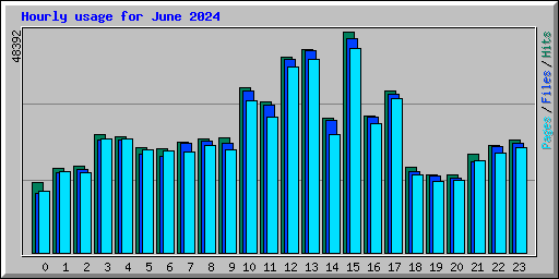 Hourly usage for June 2024