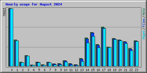Hourly usage for August 2024