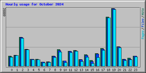 Hourly usage for October 2024