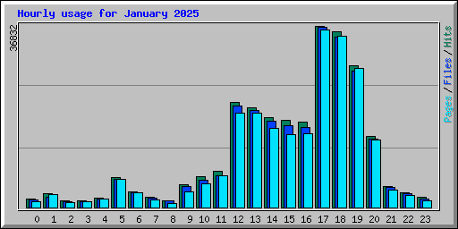 Hourly usage for January 2025