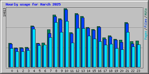 Hourly usage for March 2025