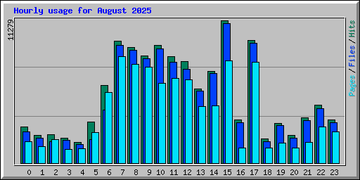 Hourly usage for August 2025
