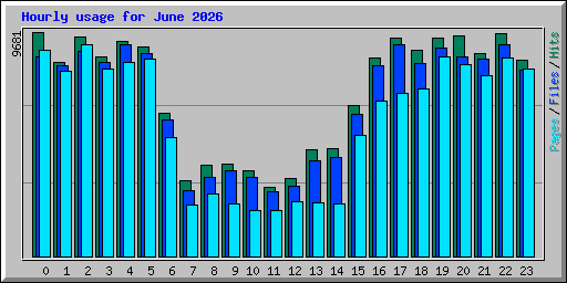 Hourly usage for June 2026