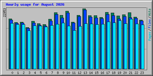 Hourly usage for August 2026