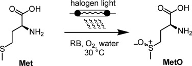 1-s2.0-S101060301731362X-sc1