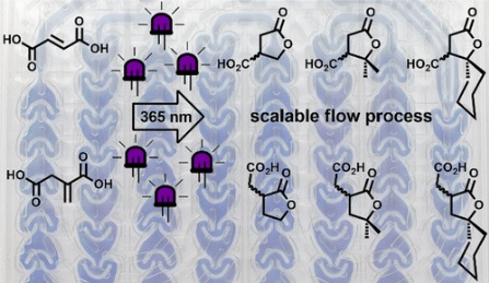 Continuous-flow preparation of g-butyrolactone scaffolds from renewable fumaric and itaconic acids under photosensitized conditions
