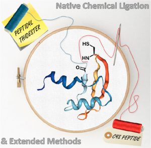[2019] Native chemical ligation and extended methodologies
