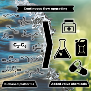 [2020][447x447] Continuous Flow Upgrading