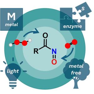 [2025][447x446]TOC ChemSusChem